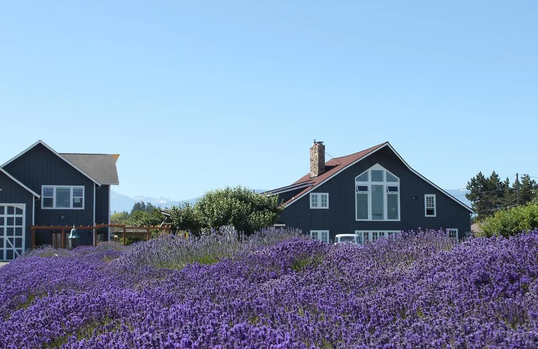 Dungeness Barn House Bed And Breakfast At Two Crows Farm-1